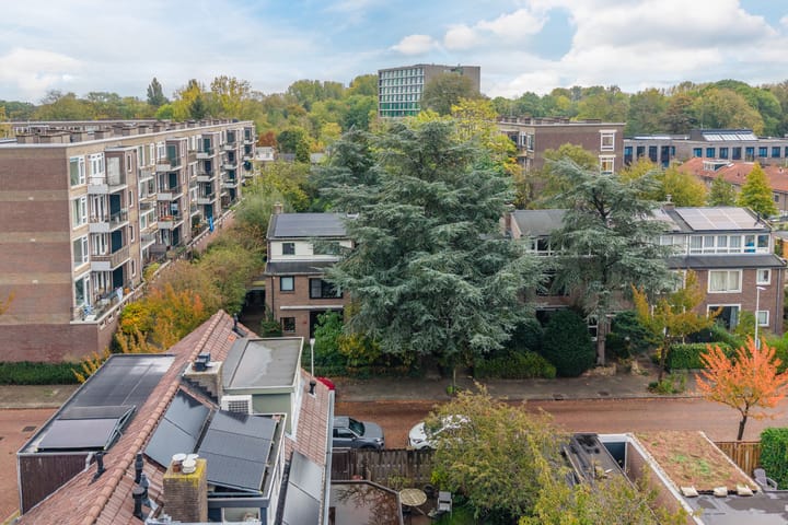 Foto 77 van Looplantsoen 210