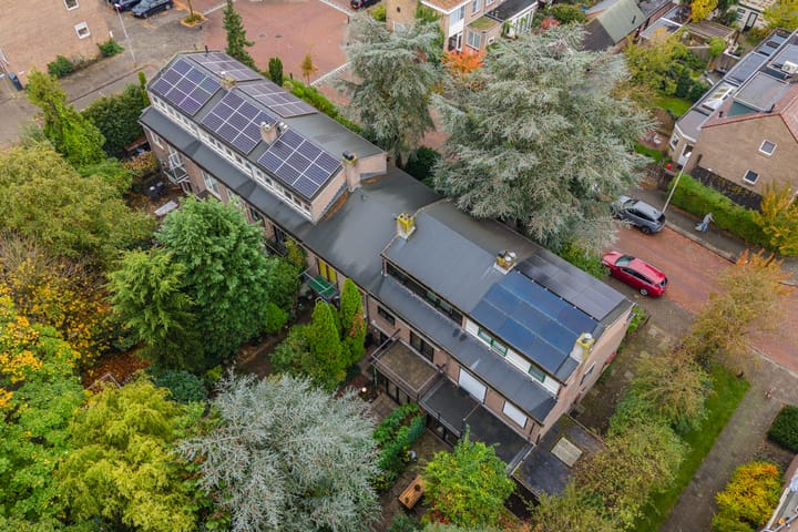 Foto 78 van Looplantsoen 210