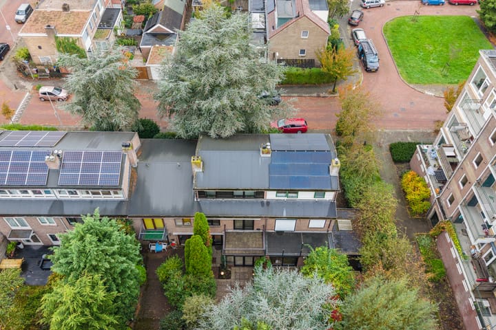 Foto 79 van Looplantsoen 210