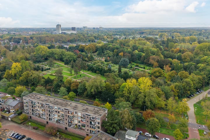 Foto 80 van Looplantsoen 210