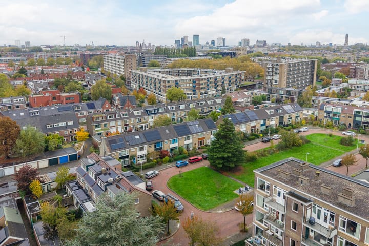 Foto 82 van Looplantsoen 210