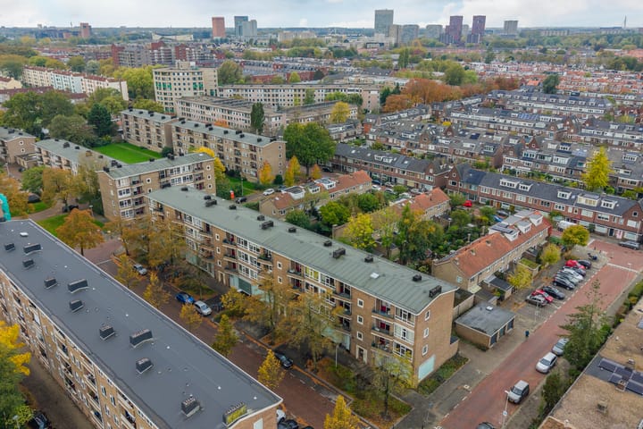 Foto 83 van Looplantsoen 210