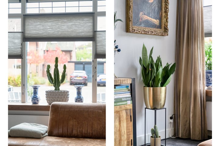 Photo 45 of Bachlaan 16