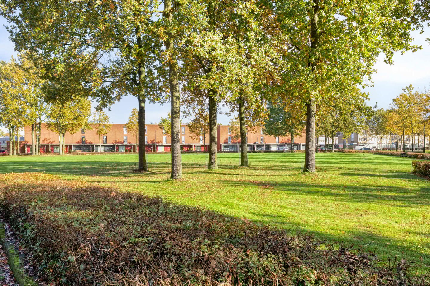 Foto 40 van Cornelis Lelylaan 52