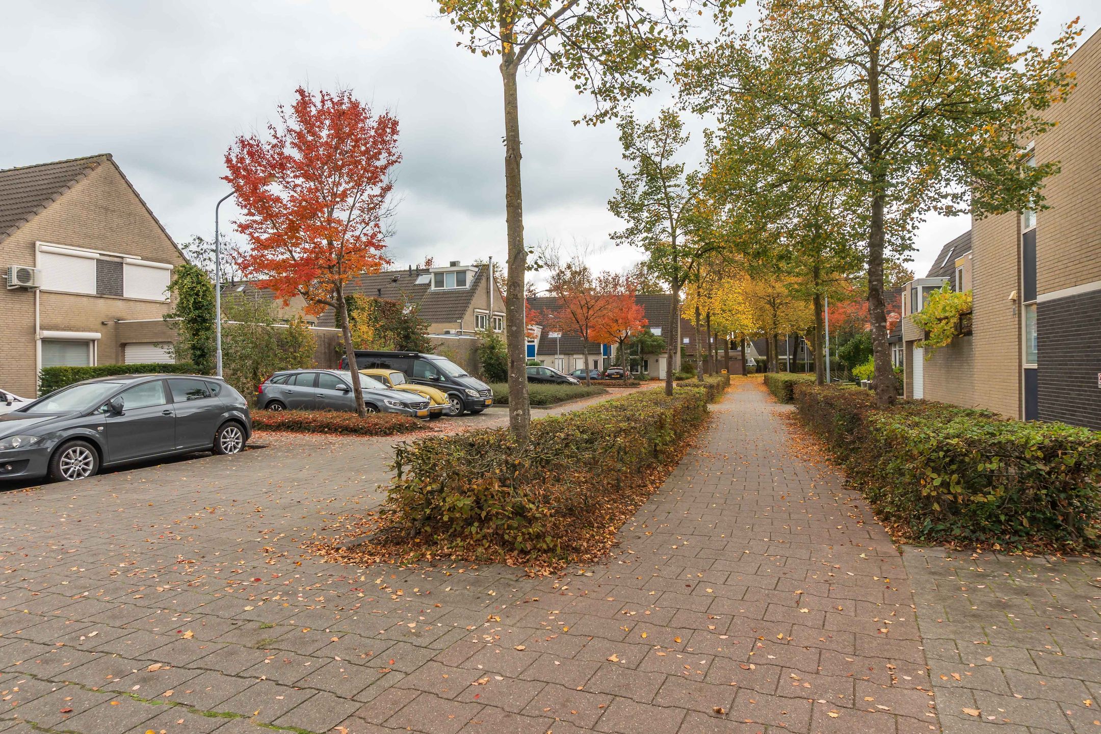 Photo 45 of Aarnout Drostdreef 16