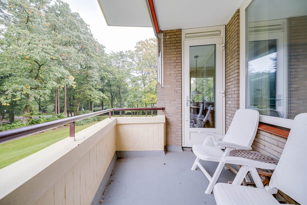 Foto 2 van Soerenseweg 125-18