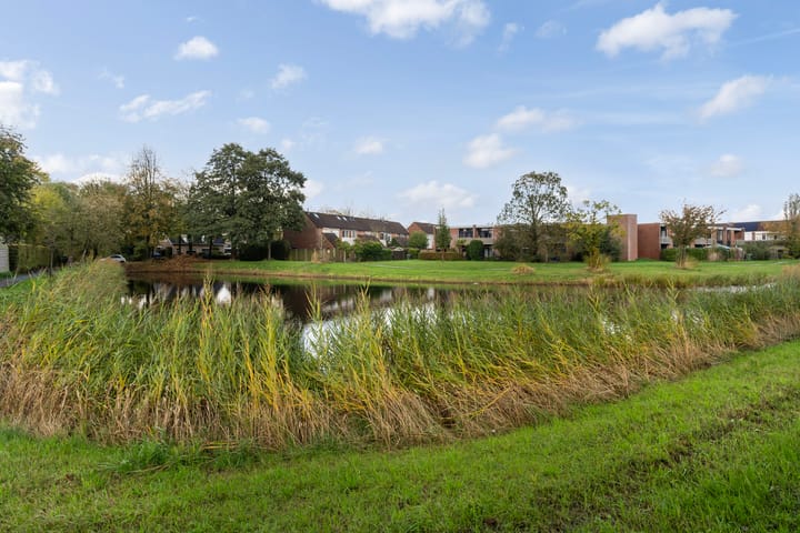 Foto 32 van Tulipastrjitte 34