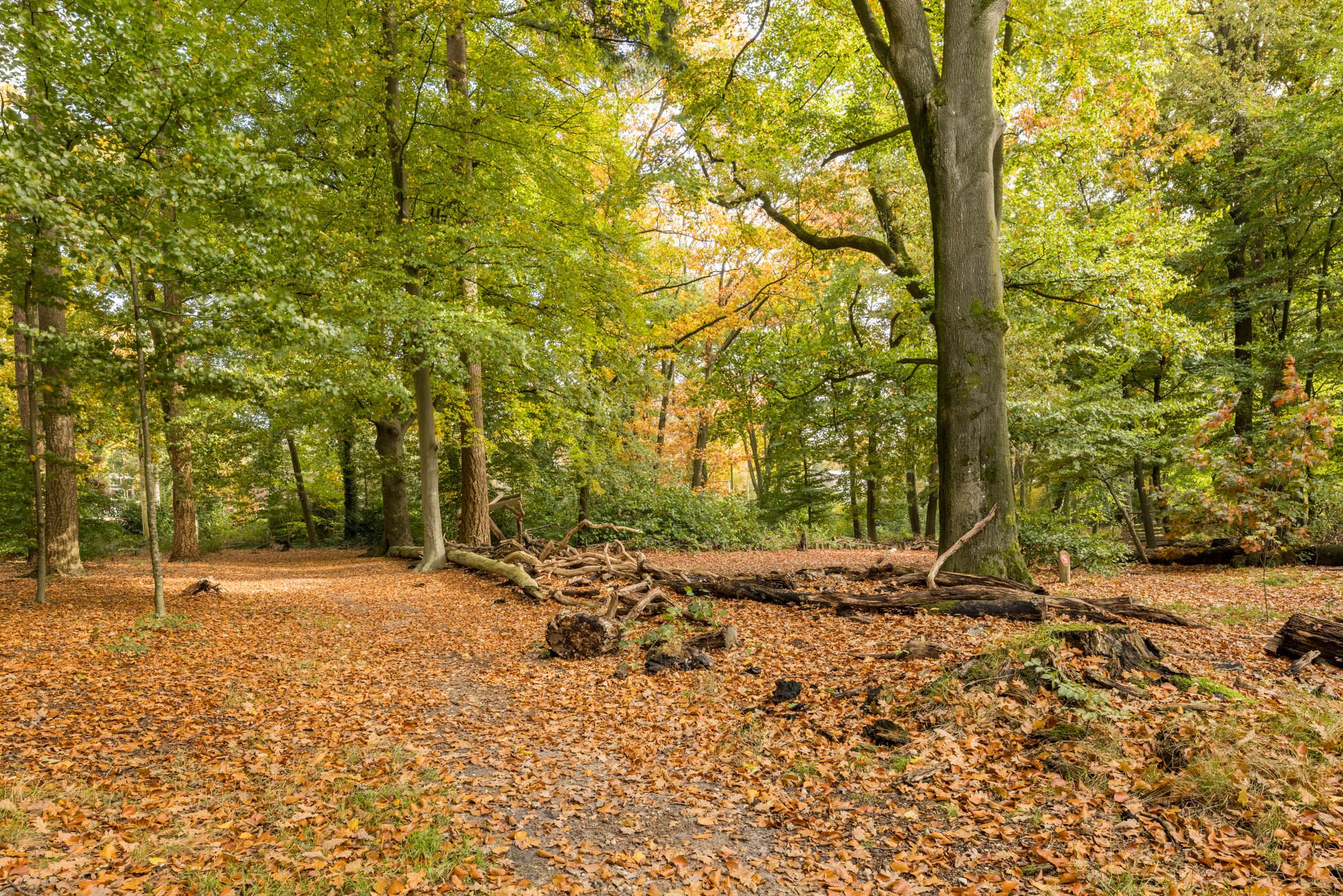 Foto 24 van Halévystraat 3-3