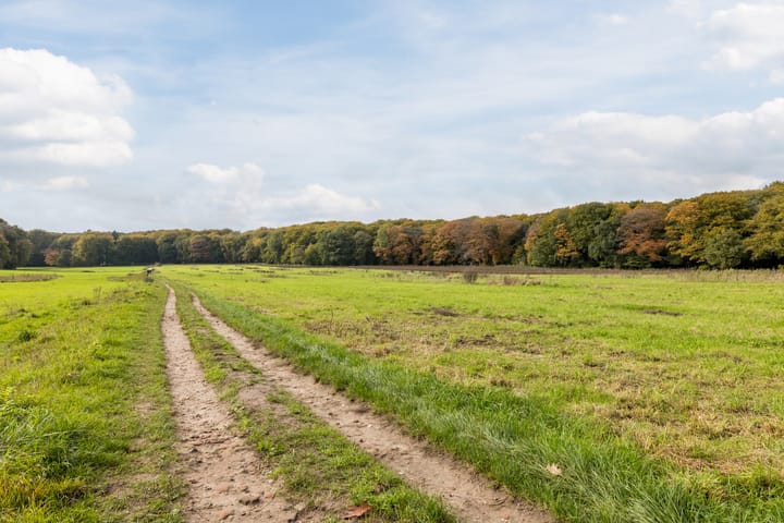 Foto 25 van Halévystraat 3-3