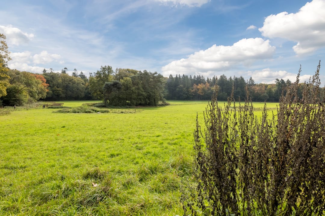 Foto 26 van Halévystraat 3-3