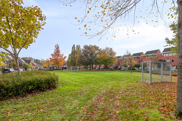 Foto 4 van Sustenpas 29