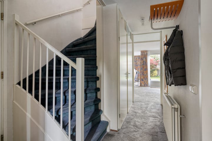 Foto 6 van Sustenpas 29