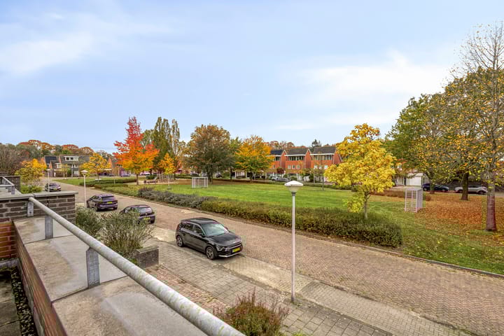 Foto 29 van Sustenpas 29