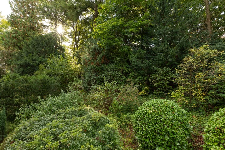 Photo 23 of Utrechtseweg 36-3