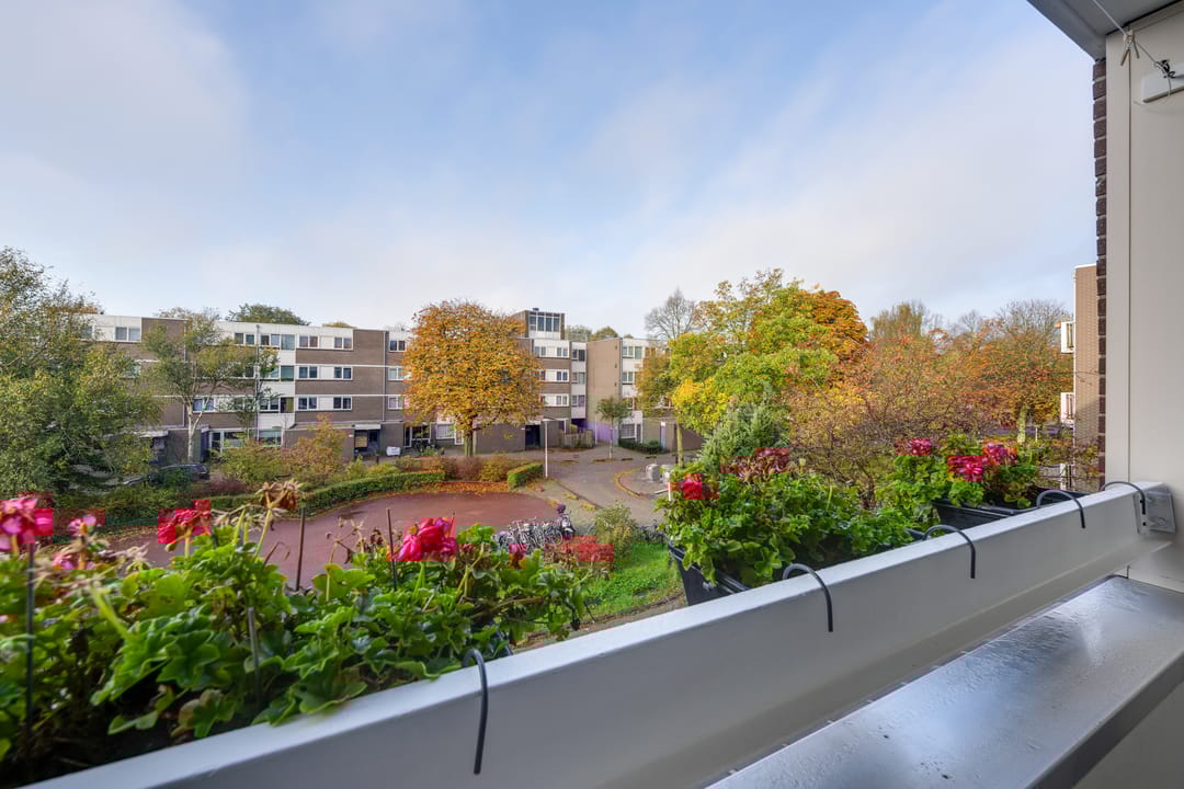 Foto 23 van Millingenhof 284