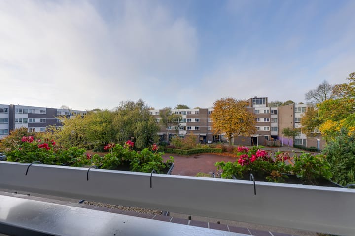 Photo 24 of Millingenhof 284