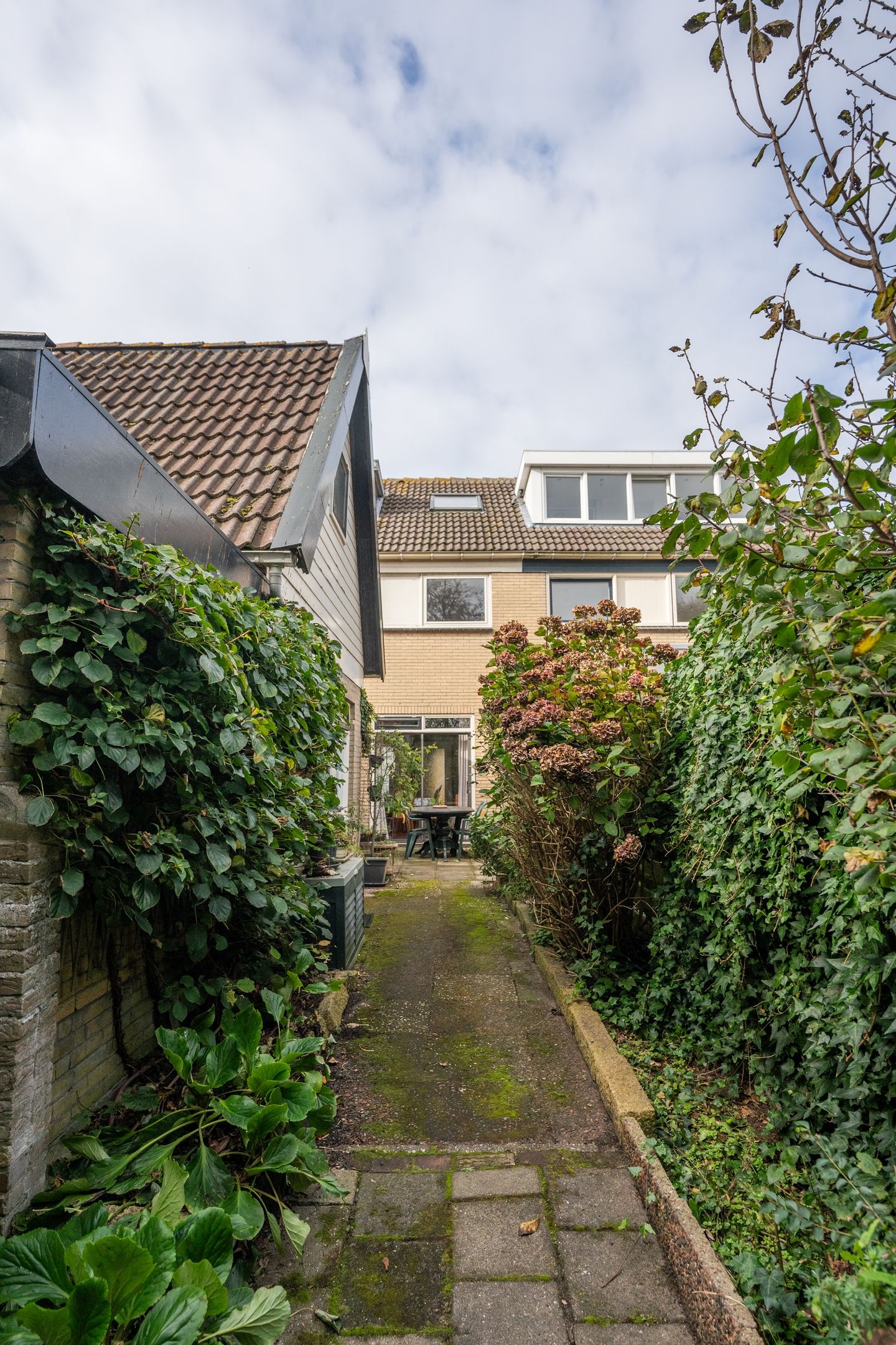 Foto 44 van Wintergroen 29