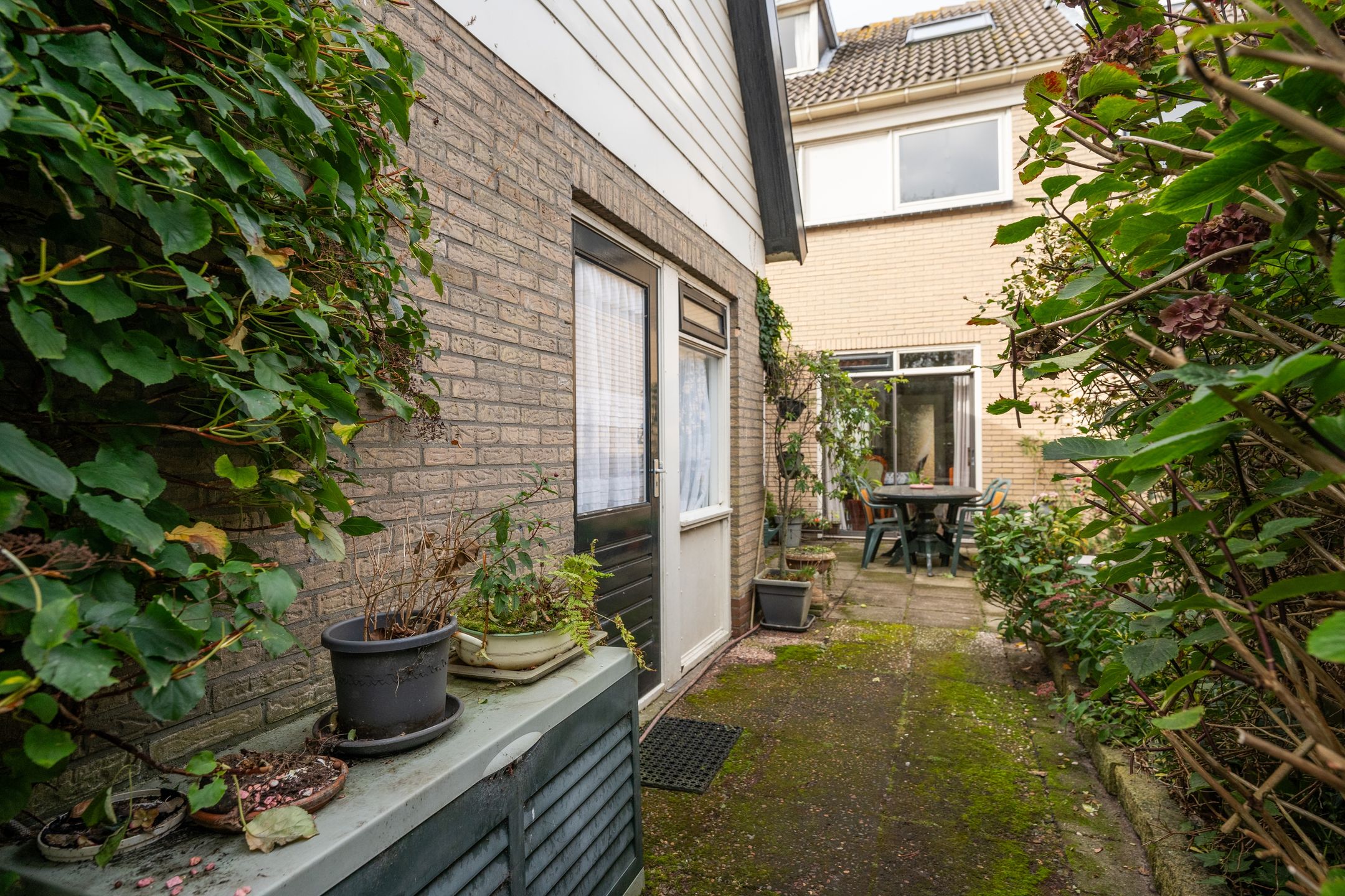 Photo 48 of Wintergroen 29