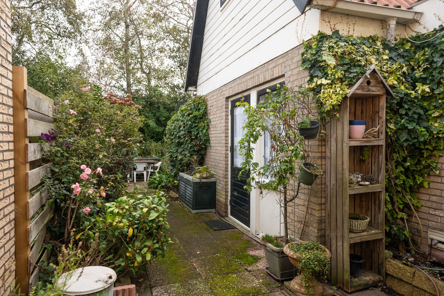 Foto 49 van Wintergroen 29