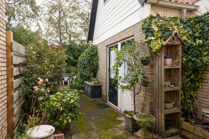 Photo 49 of Wintergroen 29