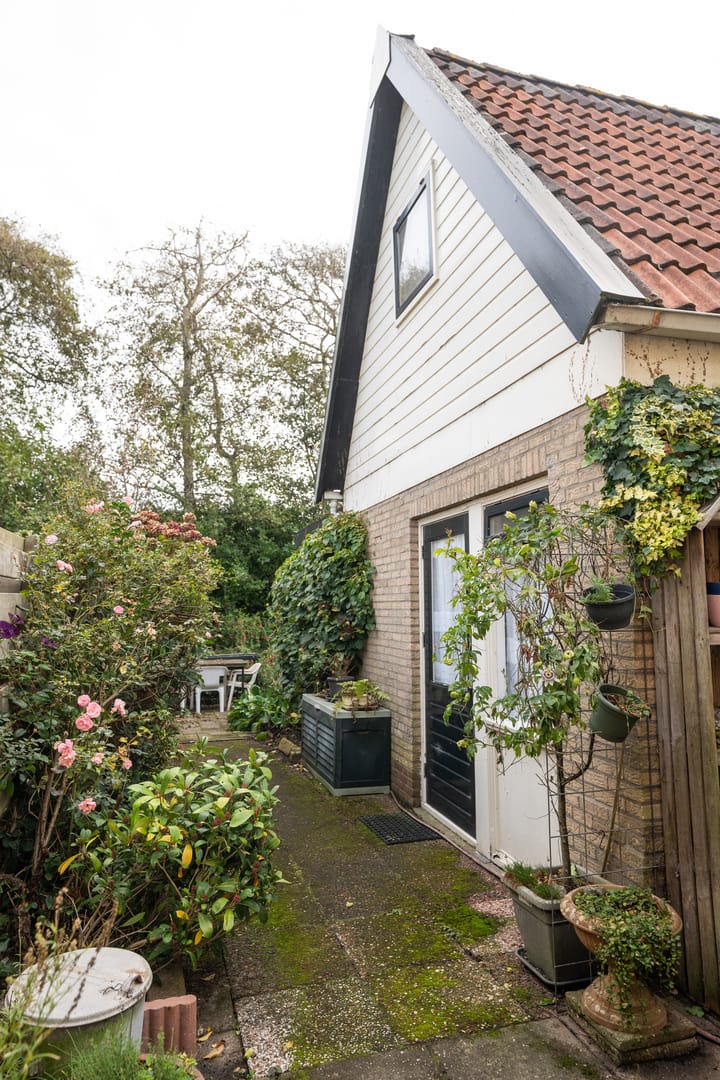 Photo 50 of Wintergroen 29