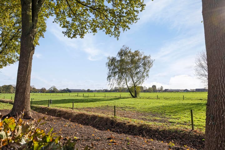 Foto 46 van Beemden 23