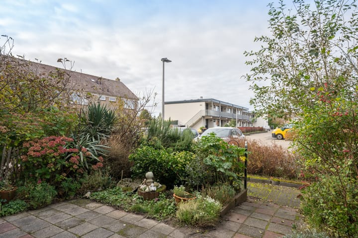 Photo 55 of Wintergroen 29