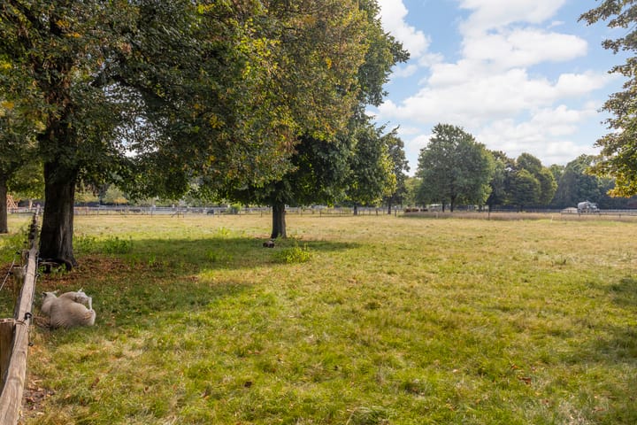 Foto 36 van Zoomstraat 13