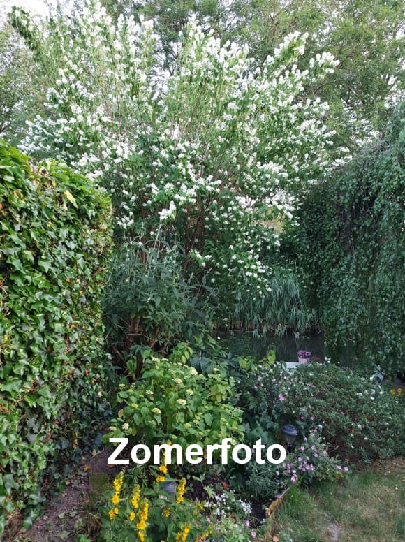 Foto 29 van Rudyard Kipling-erf 19