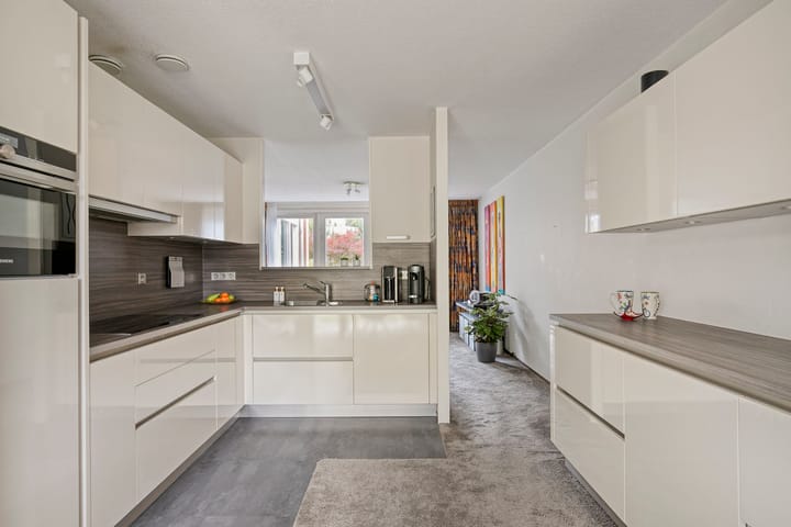 Foto 2 van Sustenpas 29