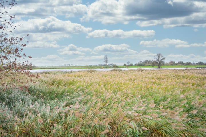 Foto 7 van van Nahuysweg 29