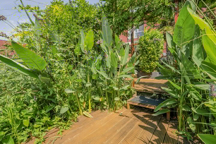 Foto 65 van IJburglaan 782