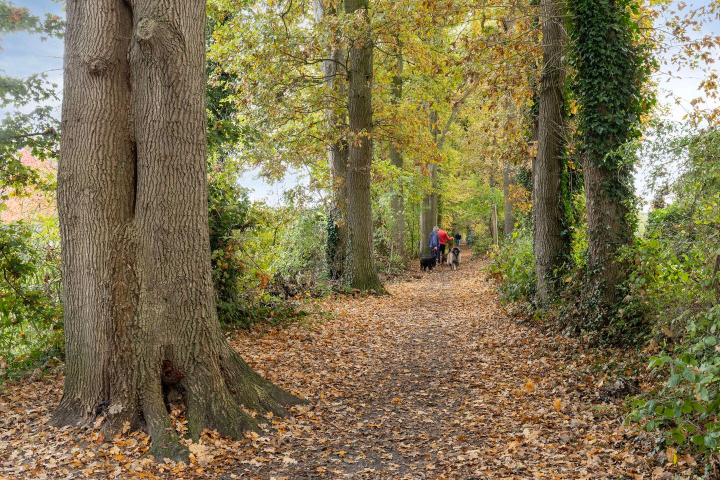 Foto 40 van Hovenierslaan 8