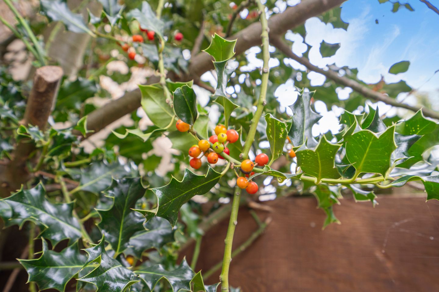 Foto 10 van Eefsebeek 10