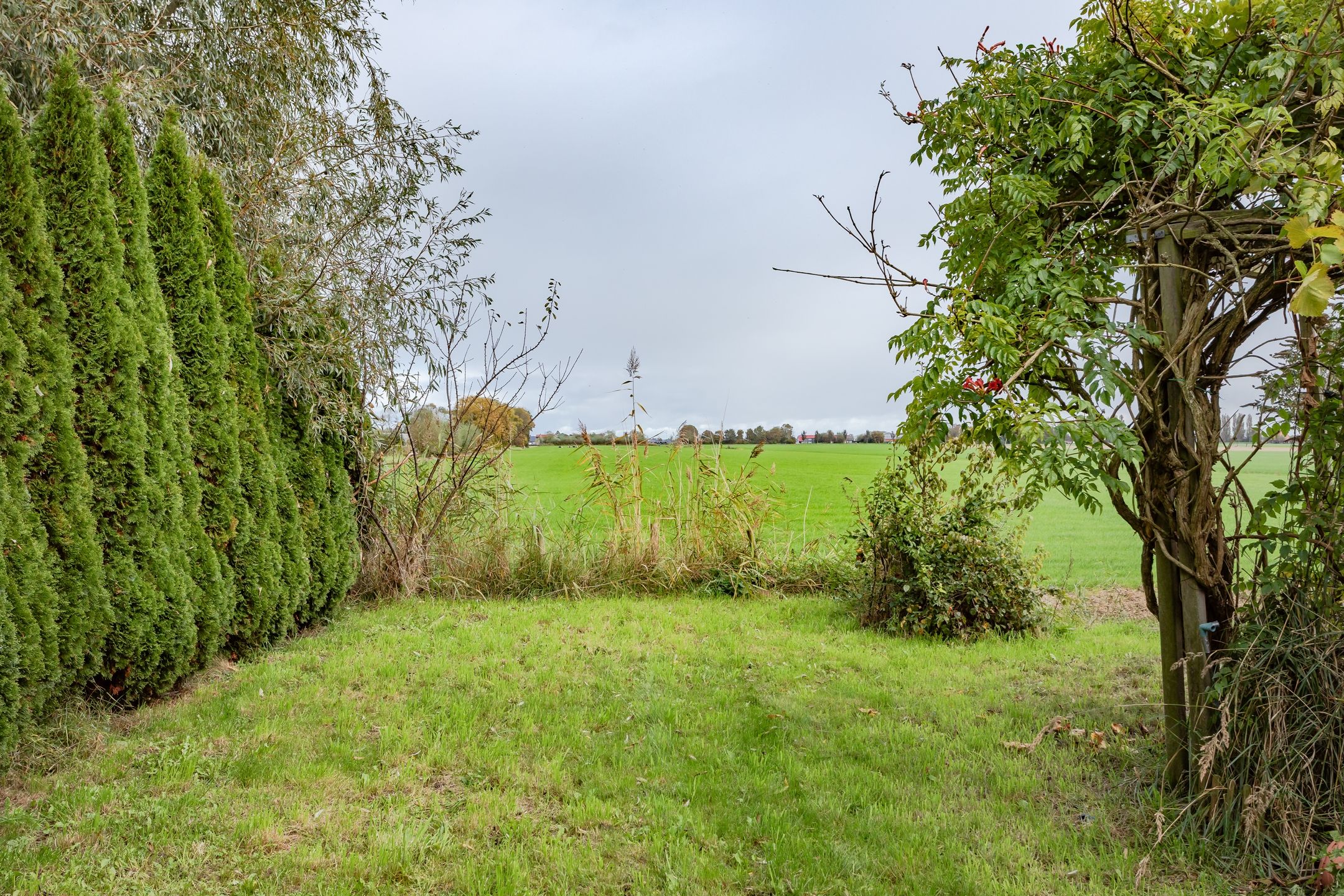 Photo 48 of Barnsteen 28