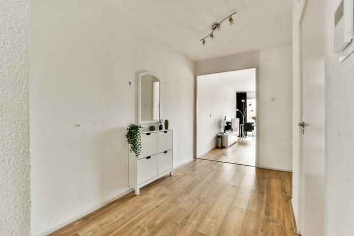 Foto 4 van Meander 261