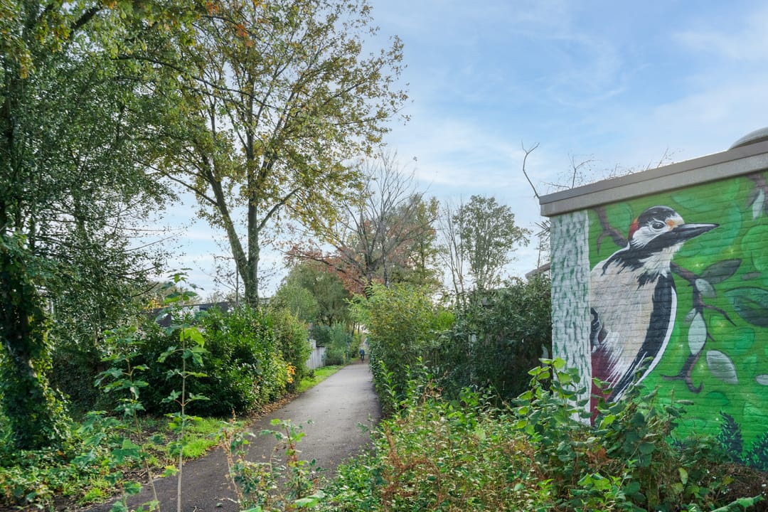 Foto 43 van Sladenhuishoek 1