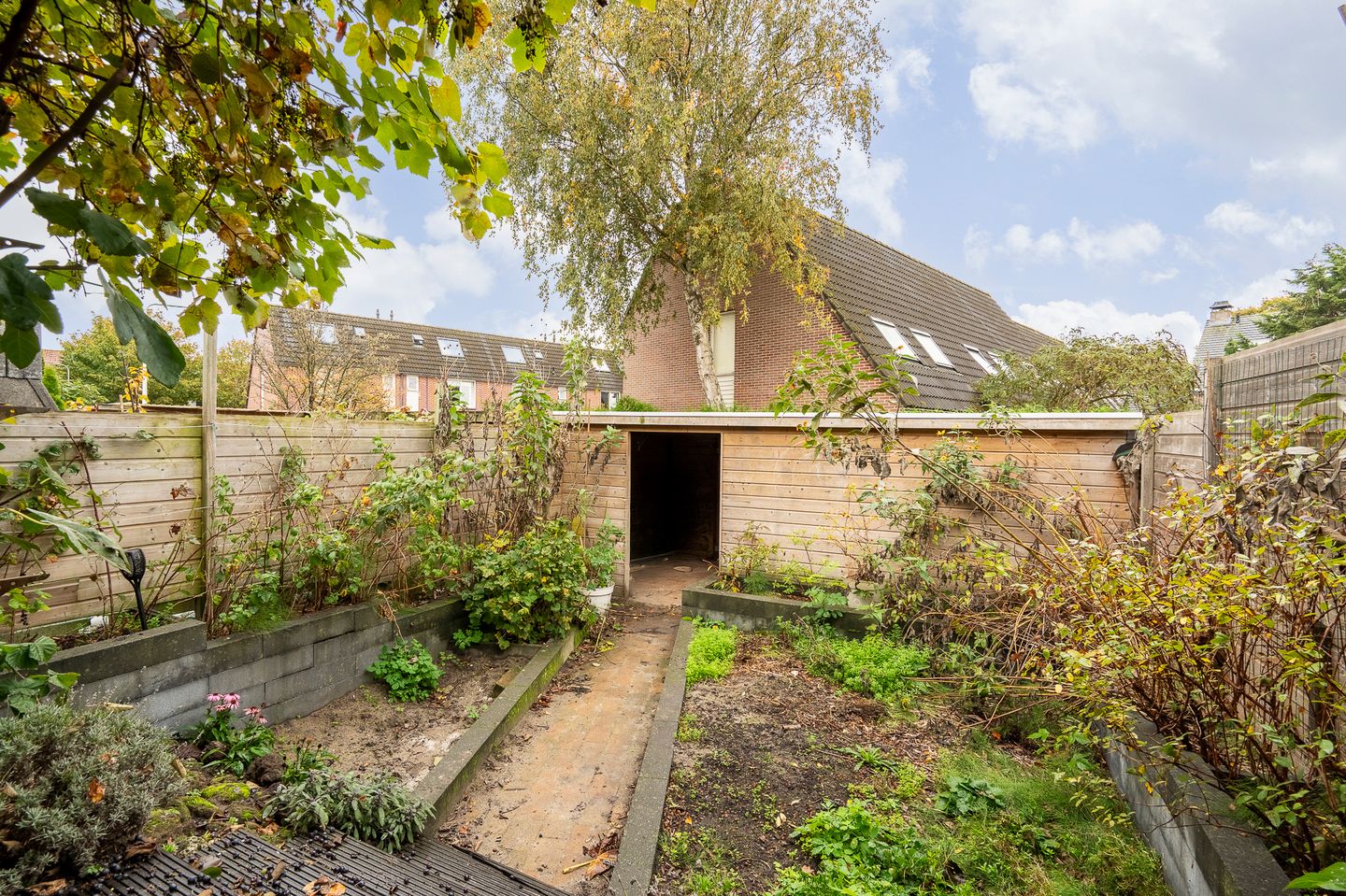 Foto 20 van Albertinestraat 14