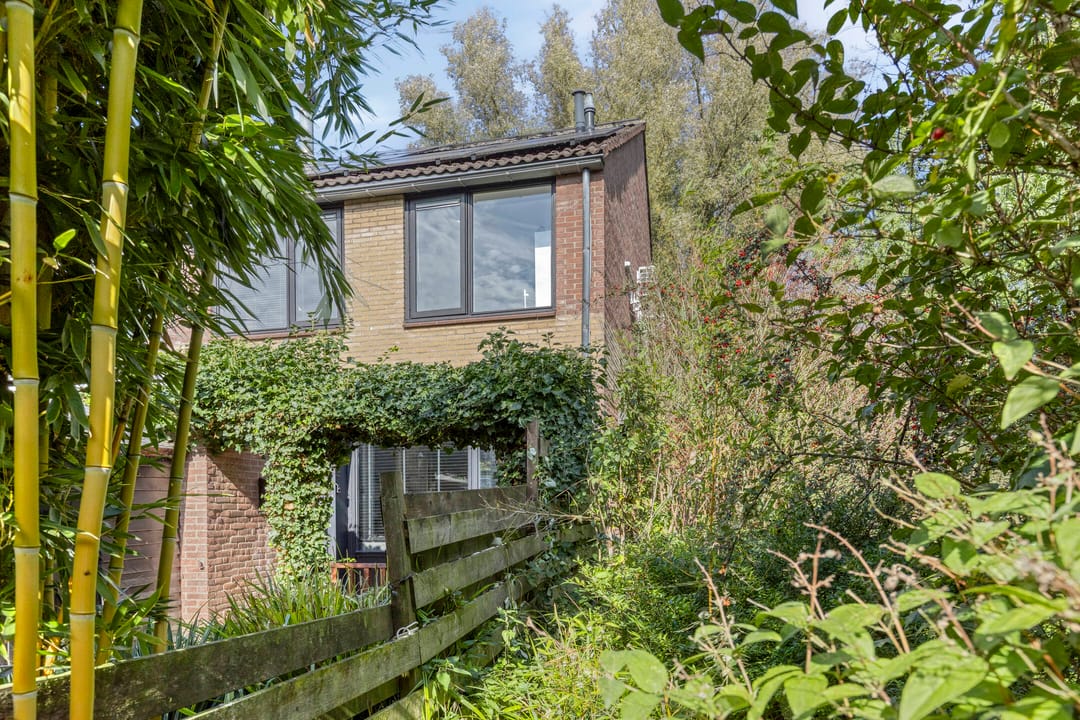 Foto 7 van Helmondstraat 110