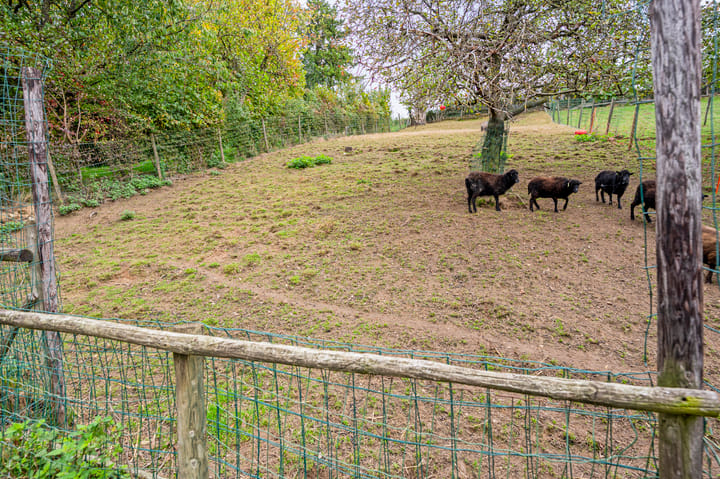 Photo 23 of Walem 6-B