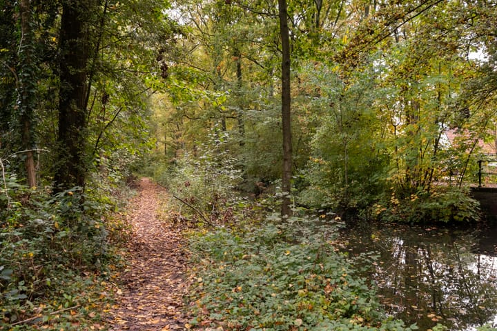 Photo 30 of Veenwal 132