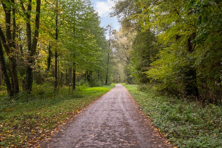 Photo 31 of Veenwal 132