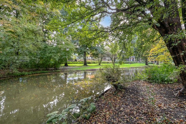 Foto 31 van Gerard Doulaan 28