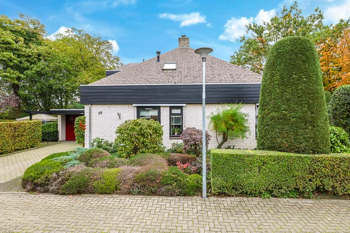 Foto 48 van van der Grijnstraat 28