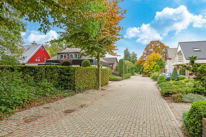 Foto 50 van van der Grijnstraat 28