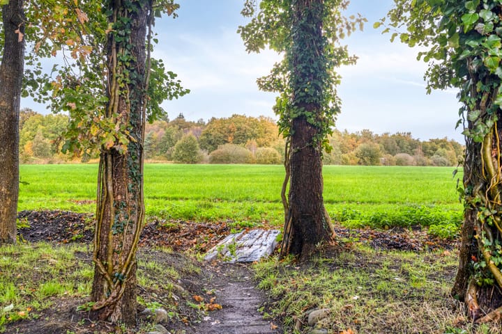 Photo 38 of Vredelaan 43