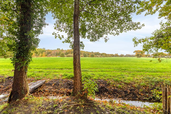 Photo 39 of Vredelaan 43