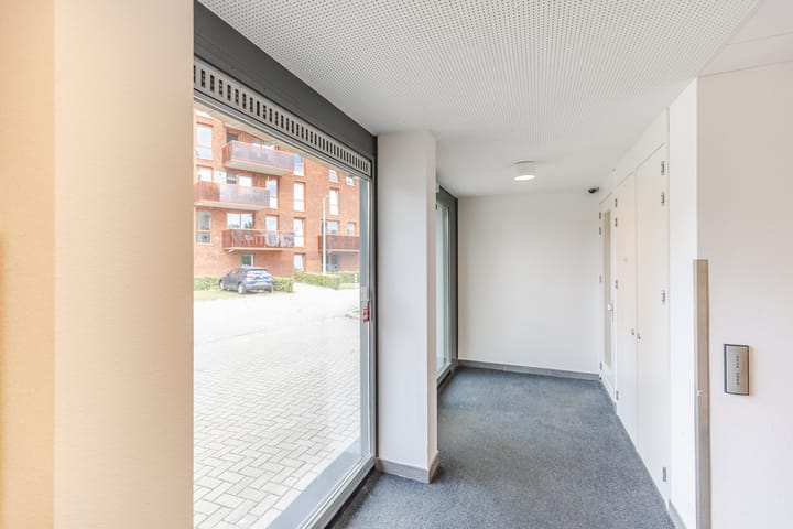 Foto 9 van Winterjanpad 26