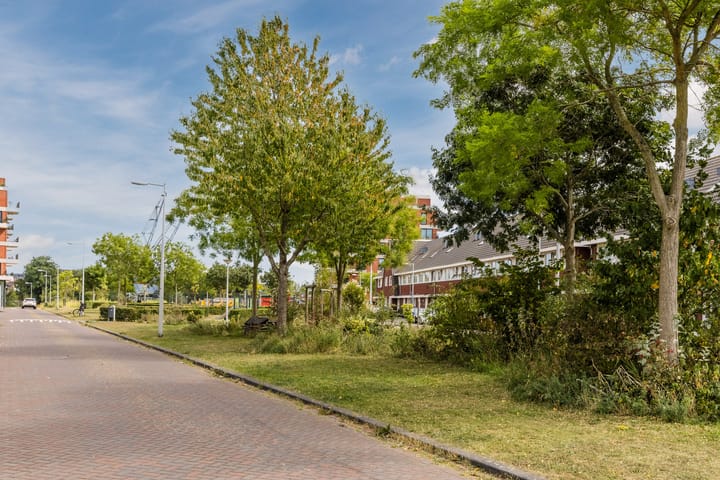 Foto 33 van Winterjanpad 26