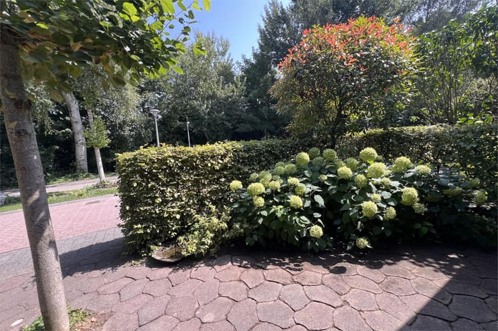 Foto 30 van Hartenveld 13